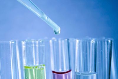 欢迎访问我们的官方网站